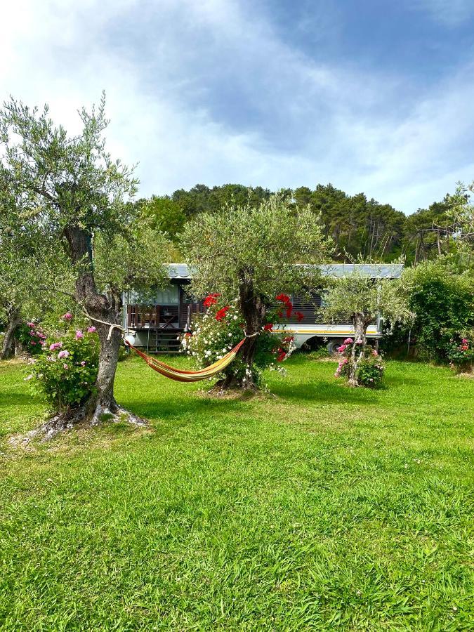 Azienda Agricola Della Mezzaluna Stiava Exteriör bild
