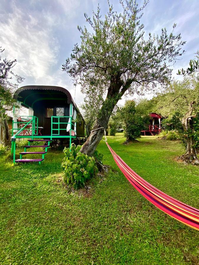 Azienda Agricola Della Mezzaluna Stiava Exteriör bild