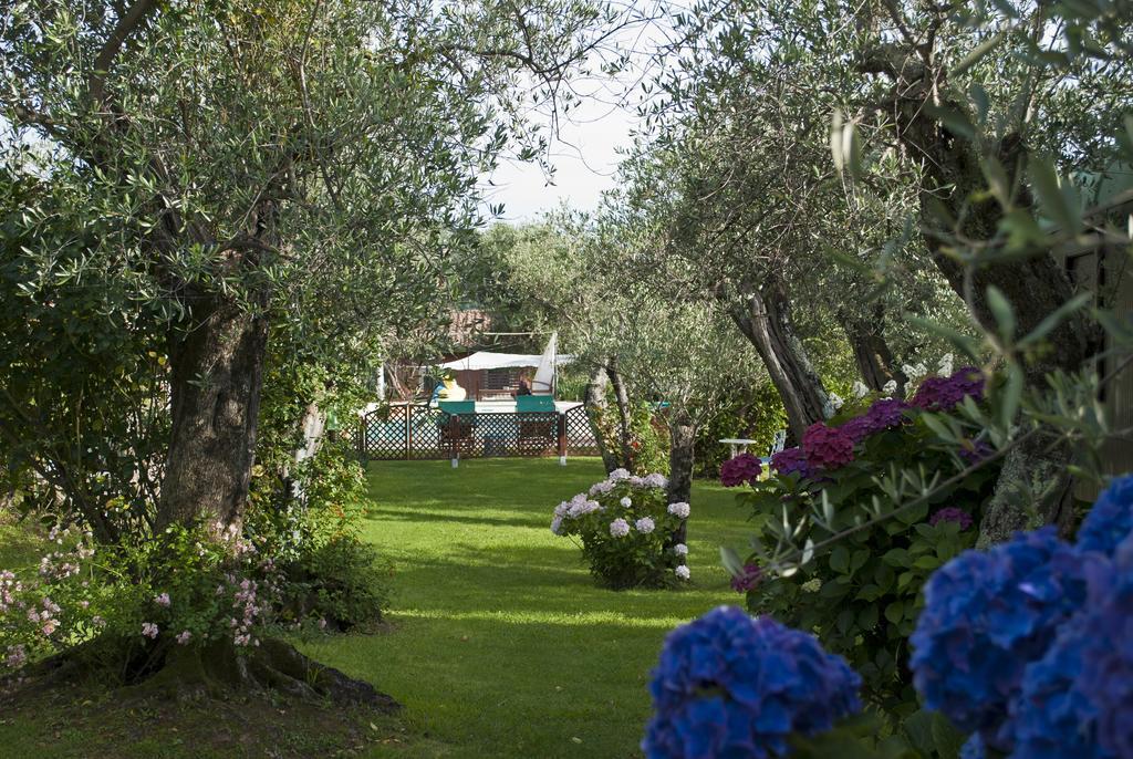 Azienda Agricola Della Mezzaluna Stiava Exteriör bild