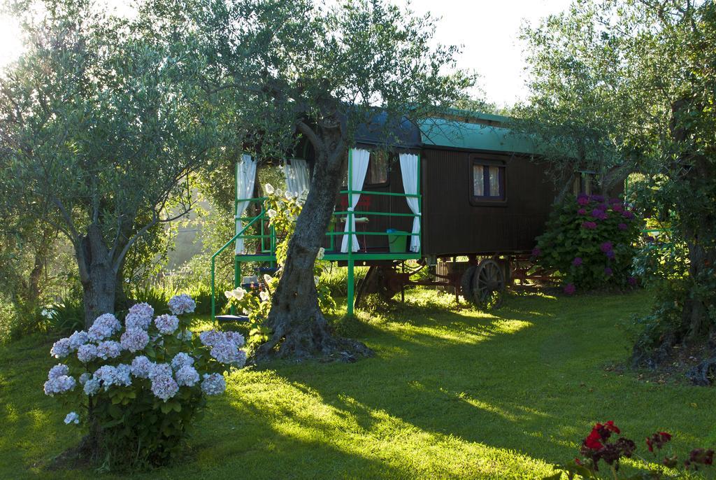 Azienda Agricola Della Mezzaluna Stiava Exteriör bild