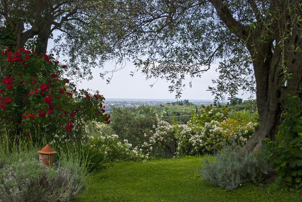 Azienda Agricola Della Mezzaluna Stiava Exteriör bild