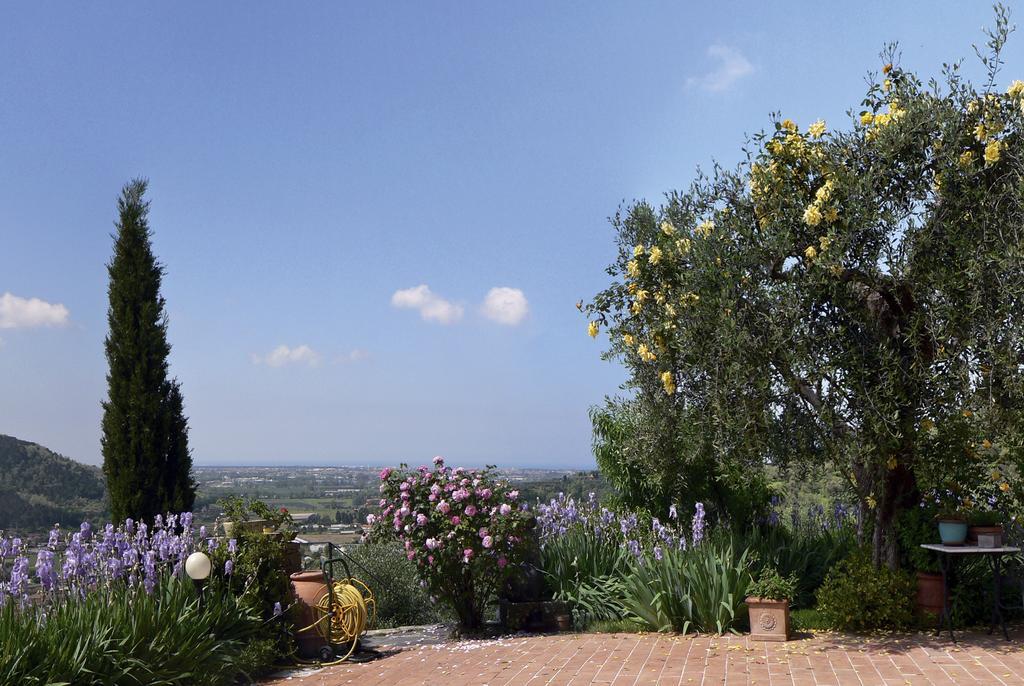 Azienda Agricola Della Mezzaluna Stiava Exteriör bild