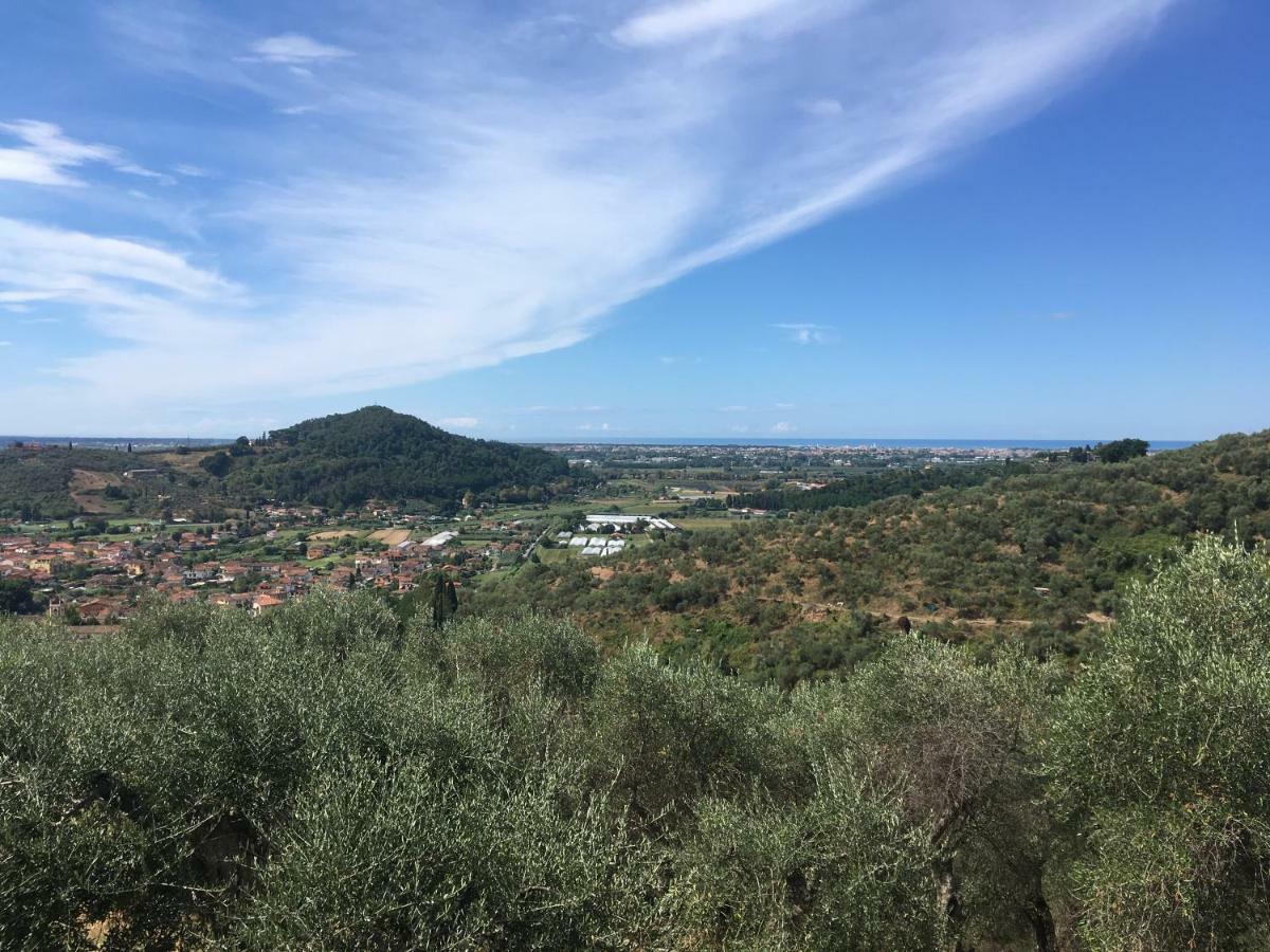 Azienda Agricola Della Mezzaluna Stiava Exteriör bild